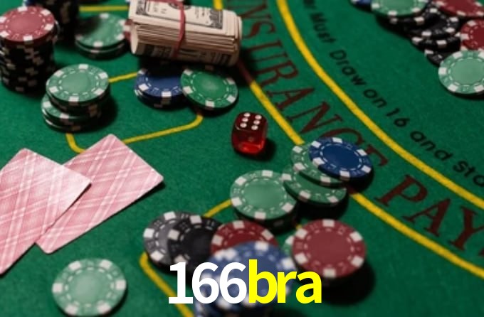166bra App Interface
